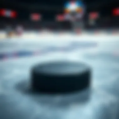 Close-up of a hockey puck on the rink