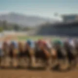 A detailed Santa Anita race card showcasing various race types